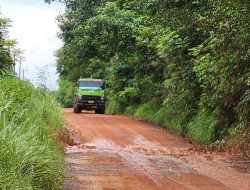 Warga Belida Darat Desak Pertamina dan BSP Perbaiki Jalan Penghubung Lima Desa