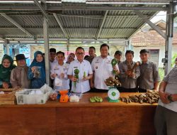 Upaya Tekan Laju Inflasi, Kini Operasi Pasar Khusus dan Reguler di Gelar