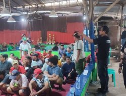 Polisi Gerebek Judi Sabung Ayam di Bekasi, Pemain Lari Kocar-Kacir