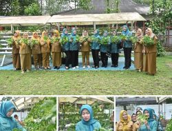 Pj Ketua TP PKK Optimalkan Hasil Panen Sayur Hidroponik Di Kebun PKK