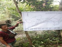 Pemasangan Plank/Bener Di Lahan Milik Perianto