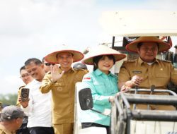 Wakili Sumsel, Petani OKI Panen Raya Serentak Bersama Presiden Secara Virtual