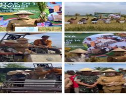 Bersama Presiden Republik Indonesia Prabowo,wakil Bupati Lakukan Panen Raya Serentak