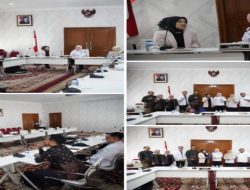 Wabup Netta Terima Audiensi Direktur RS. Hermina Opi Jakabaring