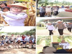 Wabup Netta Bersama Kapolres Banyuasin Panen jagung bersama dukung swasembada pangan Nasional