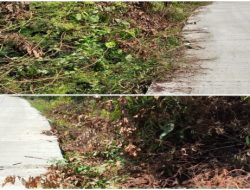Warga Soroti Tebas Bayang Tak Merata di Ruas Jalan Kabupaten, UPTD PU-PR Muba Siap Evaluasi Kegiatan Sepanjang 9 KM