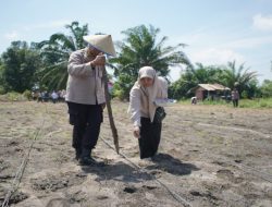 Penanaman Jagung Kuartal III Polres OKI di Pondok Pesantren Sabiilillah Kayuagung
