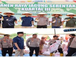 Polres OKI Gelar Panen Raya Jagung Serentak Kuartal III di Kecamatan Lempuing