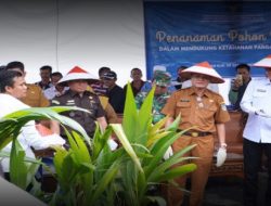 Dukung Program Ketahanan Pangan Nasional, Ogan Ilir Sukseskan Penanaman 360 Ribu Pohon Kelapa Serentak se-Indonesia