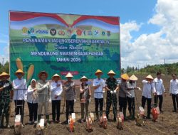 Penanaman Jagung Serentak Kuartal IV, Wujud Sinergi Polri dan Pemerintah Dukung Swasembada Pangan Nasional