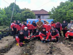 Kecamatan SP. Padang Dan BPP Laksanakan Tanam Cabai Serentak, Guna Pengendalian Inflasi Daerah