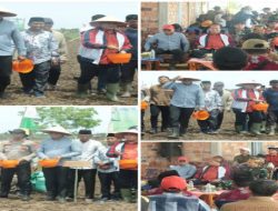 Bupati Askolani Optimis Banyuasin Jadi Nomor 1 Lumbung Pangan Nasional