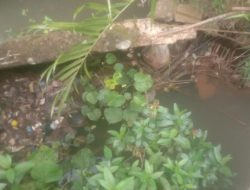 Warga Kedondong Raye Resah, Dugaan Limbah Yayasan MBG Cemari