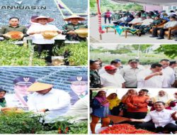 Bupati Banyuasin dan Forkopimda Panen Raya 4 Ton Cabai