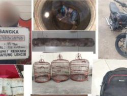 Misteri Jasad dalam Tandon Air di Bayung Lencir Terungkap, Polisi Tangkap Pelaku Perampokan Berujung Pembunuhan