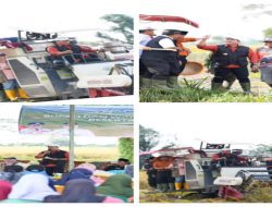 Panen Raya Songo Makmur, Bupati Banyuasin Ajak Warga Manfaatkan Lahan Sekitar Persawahan