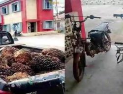 Satreskrim Polres Banyuasin Ungkap Kasus Pencurian Buah Sawit milik PT Sawit Mas Sejahtera