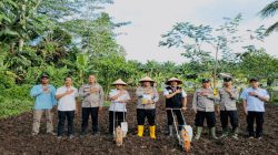 Penanaman Jagung Serentak Kuartal I di Polsek Air Sugihan Dukung Swasembada Pangan 2026