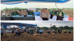 Polres OKI Laksanakan Penanaman Jagung Serentak Kuartal I 2026 Dukung Ketahanan Pangan