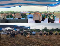 Polres OKI Laksanakan Penanaman Jagung Serentak Kuartal I 2026 Dukung Ketahanan Pangan
