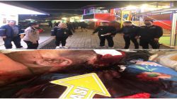 Keributan di Diskotik Palembang Berujung Maut, Satu Korban Tewas Akibat Luka Tusuk di Kepala