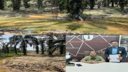 Dr. Wandi Subroto Gugat PT Bhumi Sriwijaya Perdana Coal, Sengketa Banjir Lahan Sawit Masuk Meja Hijau