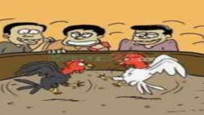 Dugaan Sabung Ayam di Kayulabu, Polres OKI Intensifkan Penyelidikan