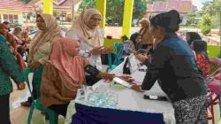 Semarak Hari Posyandu Nasional 2026, Layanan Kesehatan Terpadu Digelar Serentak di Mesuji Makmur