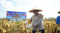Panen Raya Jagung Serentak, Polres OKI Kirim 15 Ton Hasil Panen ke Bulog Palembang