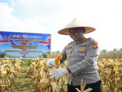 Panen Raya Jagung Serentak, Polres OKI Kirim 15 Ton Hasil Panen ke Bulog Palembang