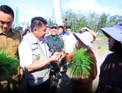 Hadapi El Nino, OKI Jadi Lokus Utama Percepatan Tanam Padi Sumsel, Target 111 Ribu Hektare