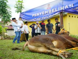 Semarak Idul adha 1447 H, Polres OKI Gelar Sholat Ied Bersama dan Sembelih 15 Sapi serta 17 Kambing Kurban