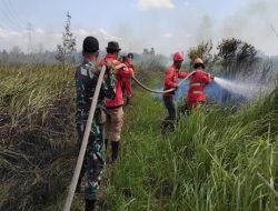 Babinsa Koramil 402-07/ Indralaya Bersama Tim Gabungan Lakukan Penanganan Kebakaran Hutan Dan Lahan DI Desa Rambutan