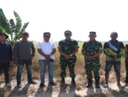 Kasdim 0402/OKI Tinjau Lahan Lokasi Panen Raya Serentak Bersama Presiden RI di Desa Jukdadak