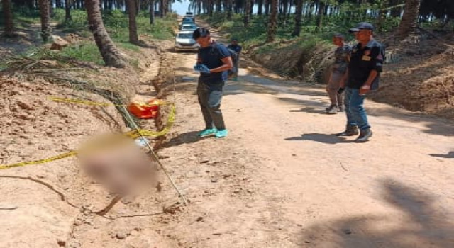 Penemuan Jasad Buruh Harian di Perkebunan Sawit Muba, Polisi Dalami Dugaan Penyebab Kematian