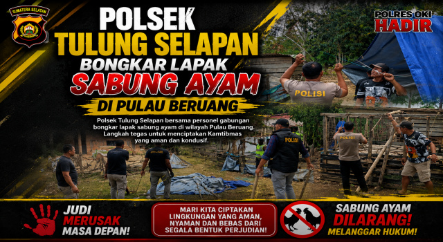 Polsek Tulung Selapan Bongkar Lapak Sabung Ayam di Pulau Beruang