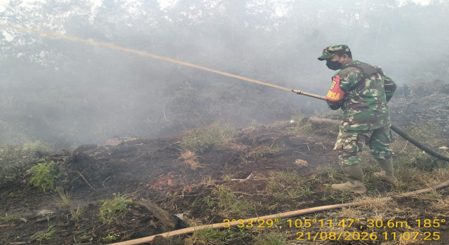 Api Mulai Padam, Tim Gabungan TNI Pastikan Hotspot di Pedamaran Timur Tak Meluas