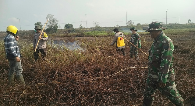 Babinsa Koramil 402-03/Sp Padang Berhasil Padamkan Karhutla Seluas 6 Hektar di Desa Batun Baru