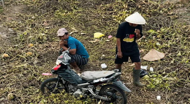 Viral Video Drone Dugaan Pembakaran Lahan di OKI, Polisi Buru Dua Pria